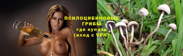 каннабис Арсеньев
